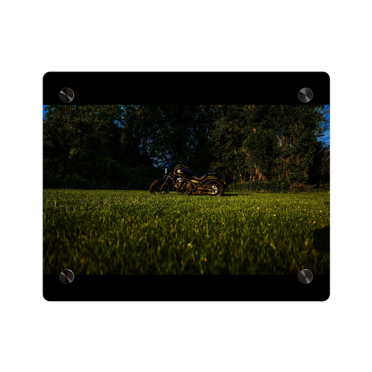 Motorcycle in Nature Acrylic Wall Art Panel