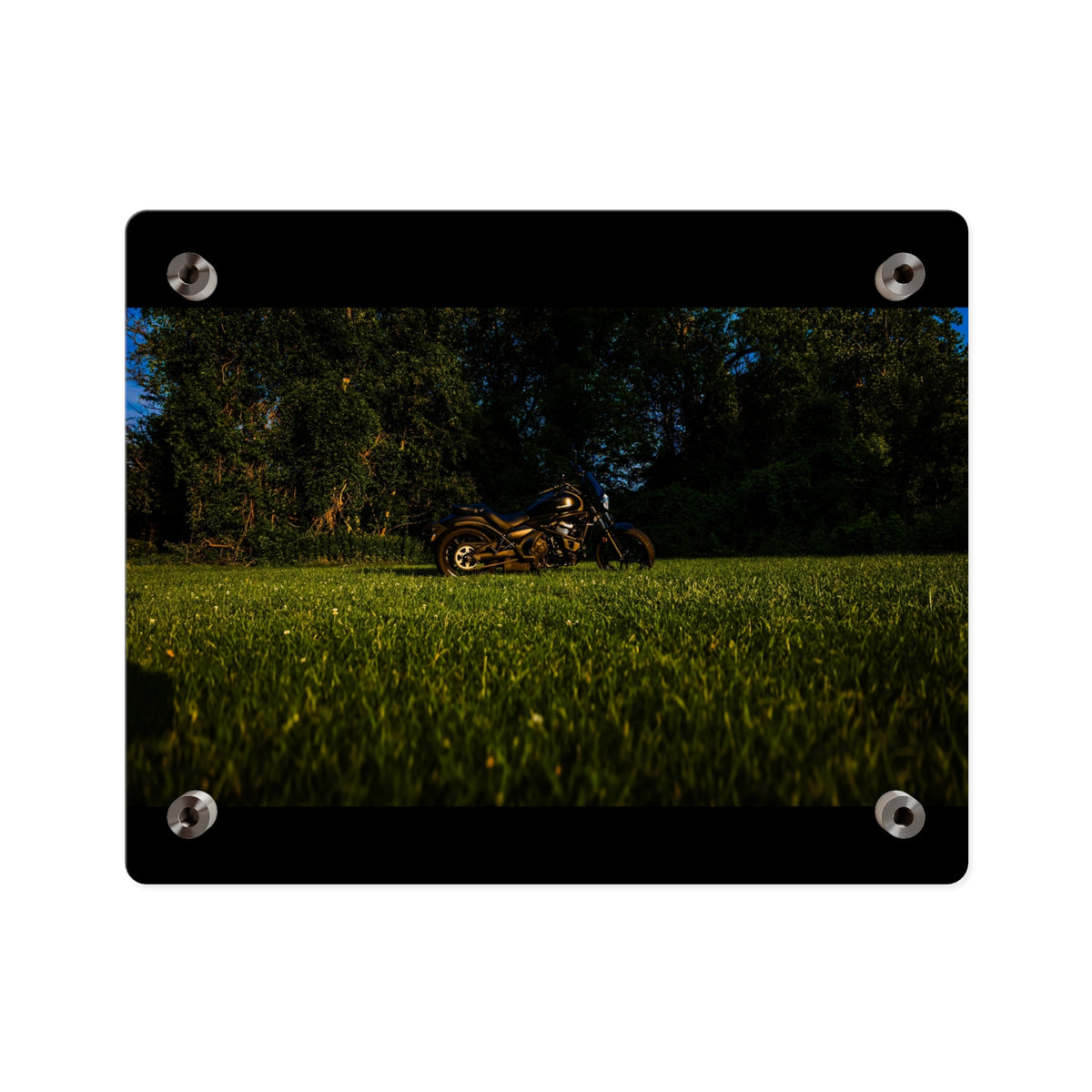 Motorcycle in Nature Acrylic Wall Art Panel