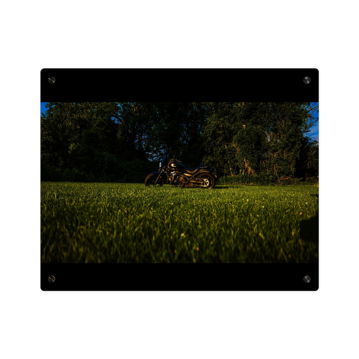 Motorcycle in Nature Acrylic Wall Art Panel