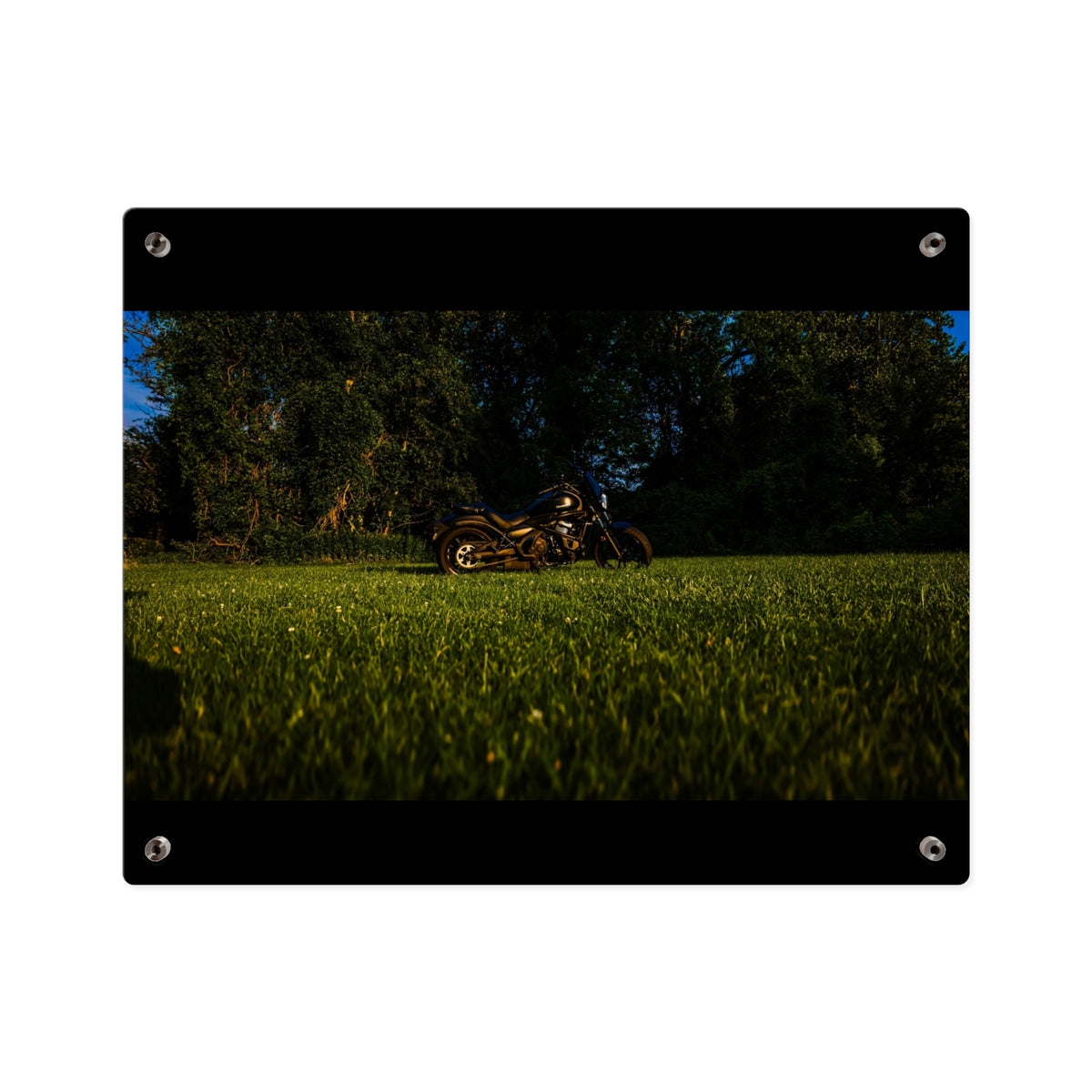 Motorcycle in Nature Acrylic Wall Art Panel