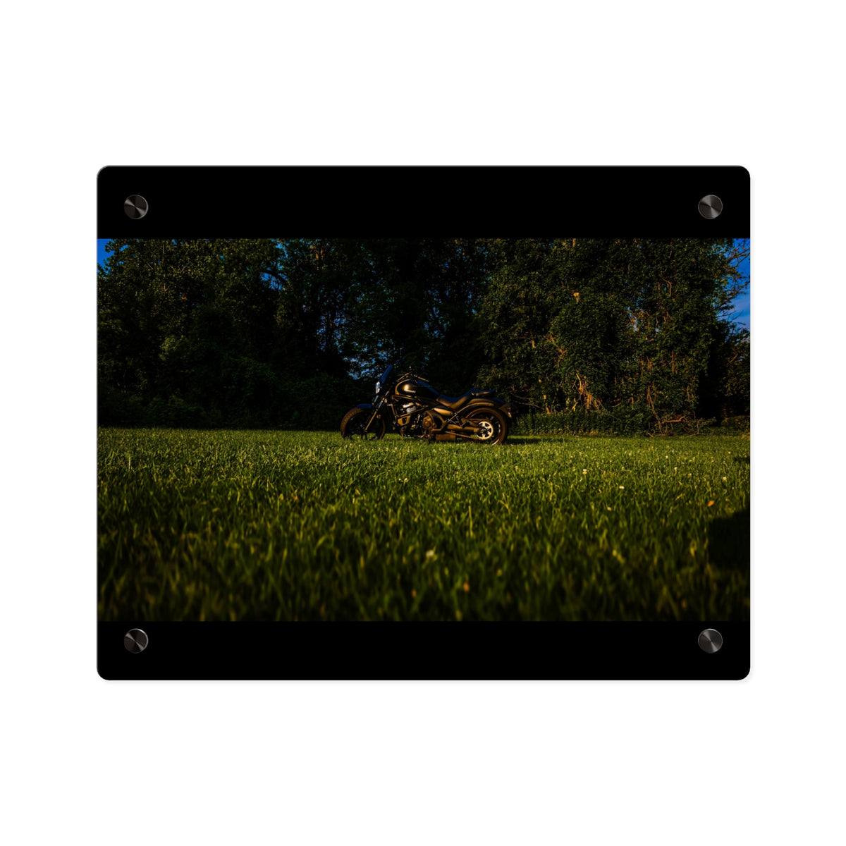 Motorcycle in Nature Acrylic Wall Art Panel